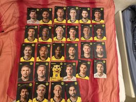 AK Satz Borussia Dortmund Druck signiert