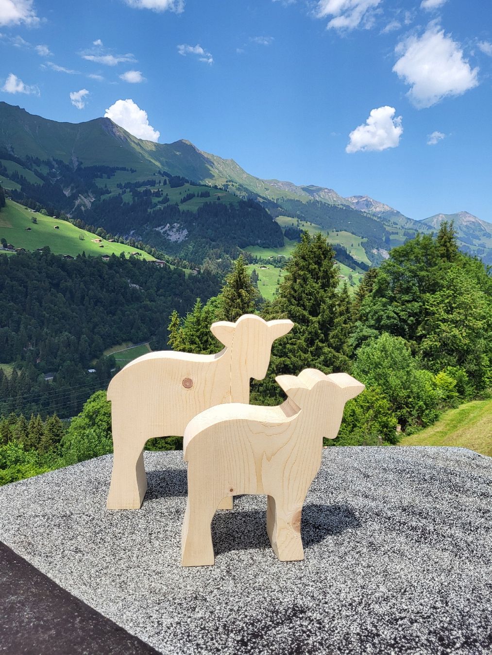 Tutte le decorazioni: 2 schafe, ostern, deko, terasse, garten, figur – Nuovo (secondo la descrizione) da Frutigen venduto da Tipp1