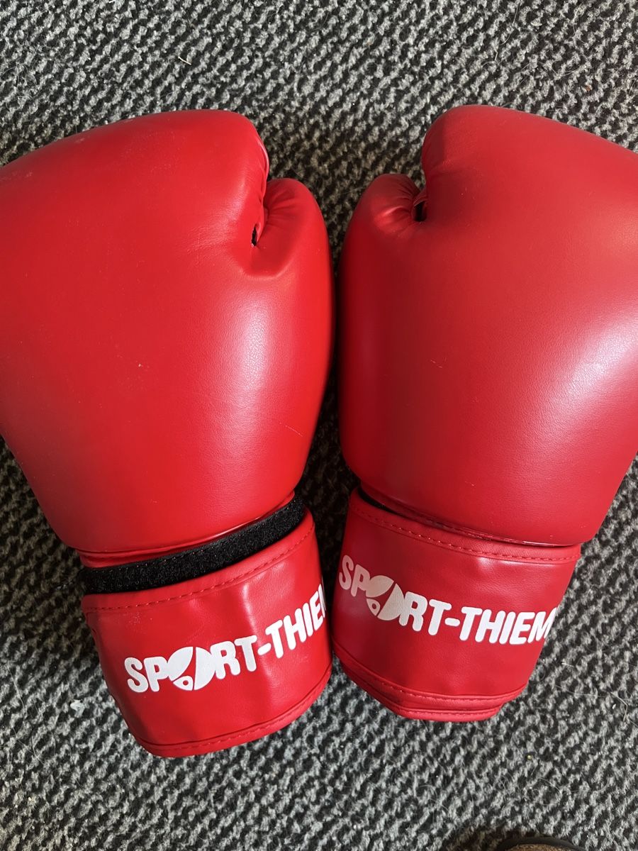 Sacchi da boxe: Kinder-Sport-Thieme Boxsack mit Boxhandschuhe – Usato da Rheinau venduto da kassandra5_12 2