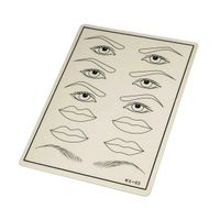 Permanent Make up & Microblading 12 x Übungshaut