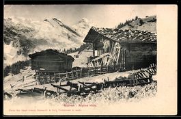 AK Mürren, Alpine Huts
