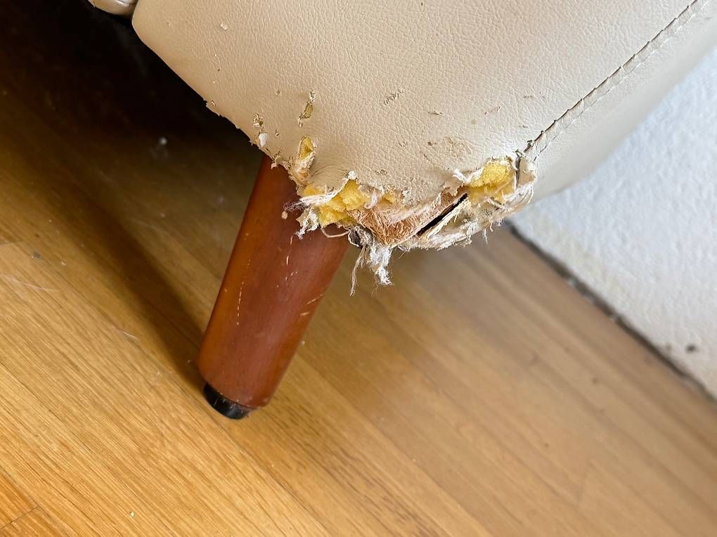 Sofas: Zweiteiliges Ledersofa – D'occasion à Sigriswil par globetrotter80 3