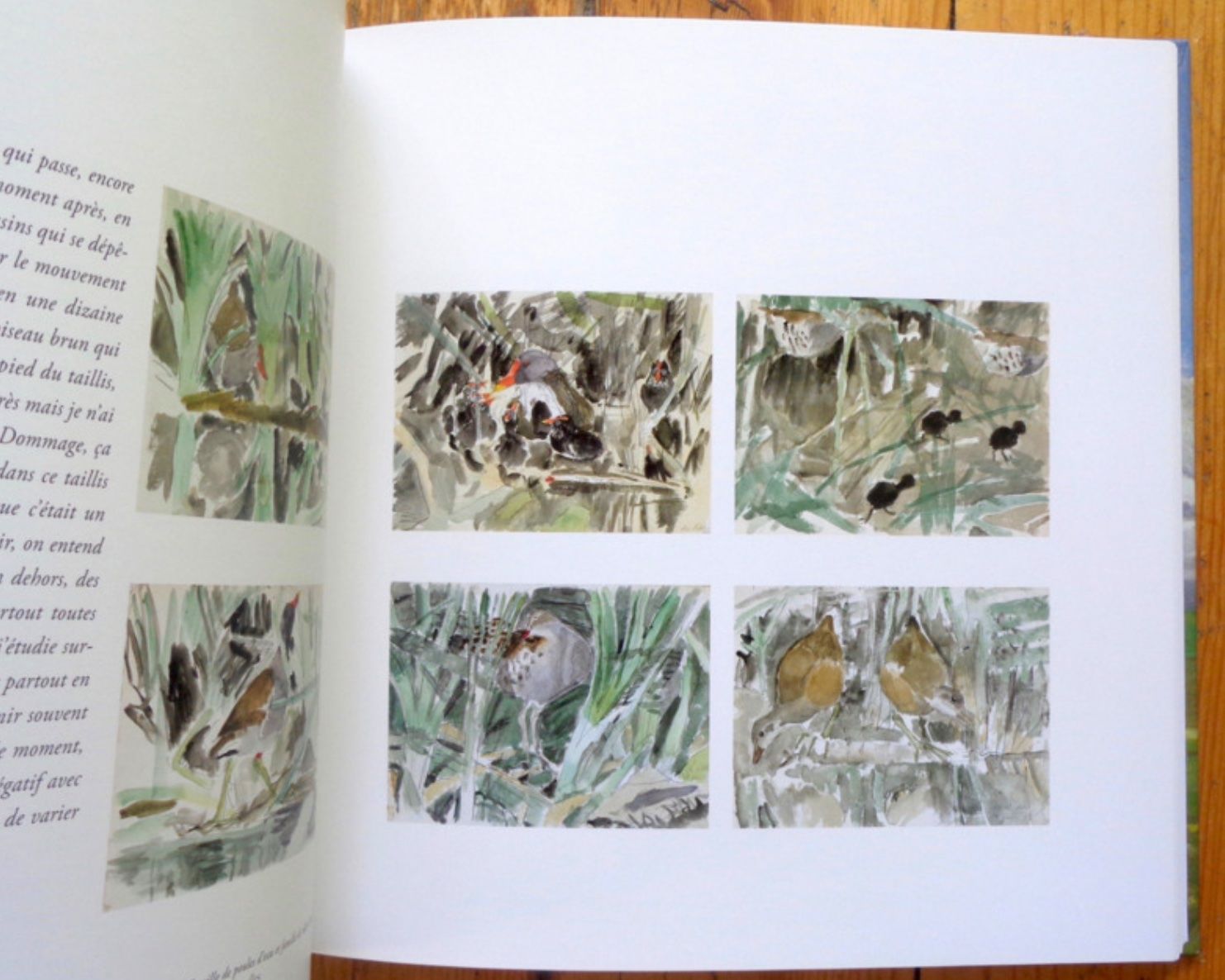 Libri: Impression de printemps de Germaine et Robert Hainard – Usato da Le Locle venduto da LibrairieLaBergerie 2