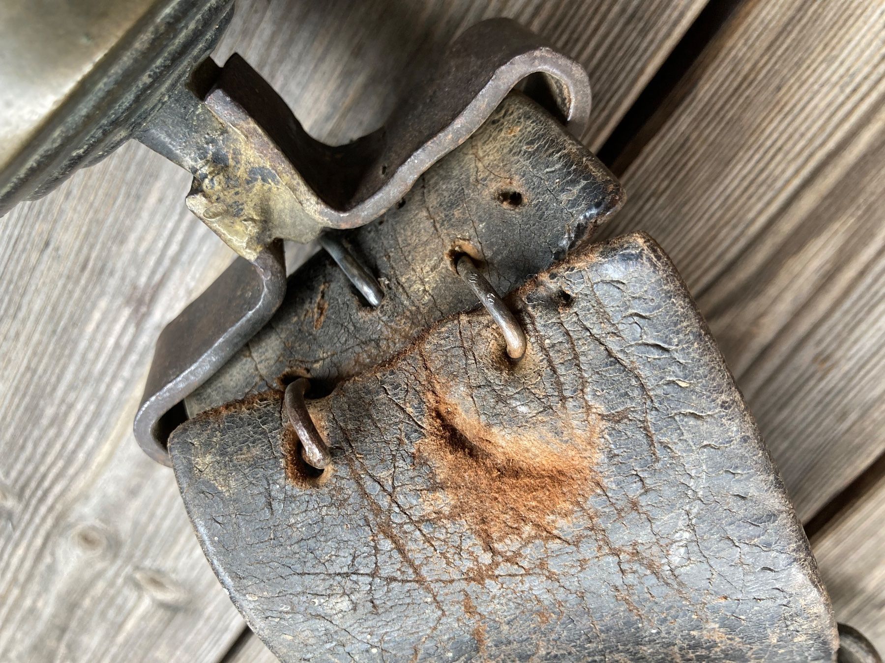 Campanacci mucche: antike uralte Glocke mit Riemen – Usato da Lüchingen venduto da Eeizo 6