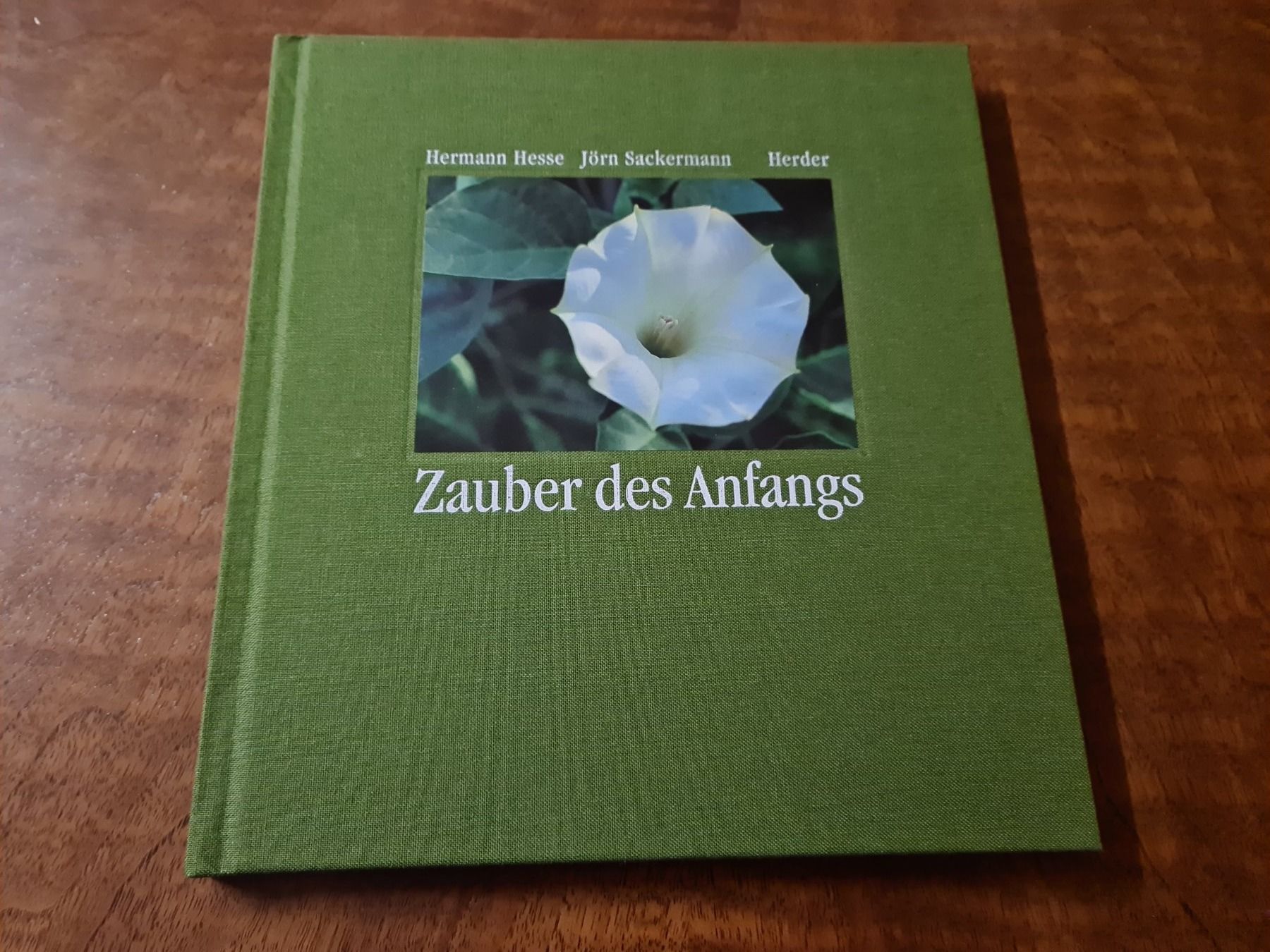 Libri: Zauber des Anfangs – Usato da Erstfeld venduto da Mario_boe0