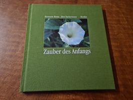 Zauber des Anfangs
