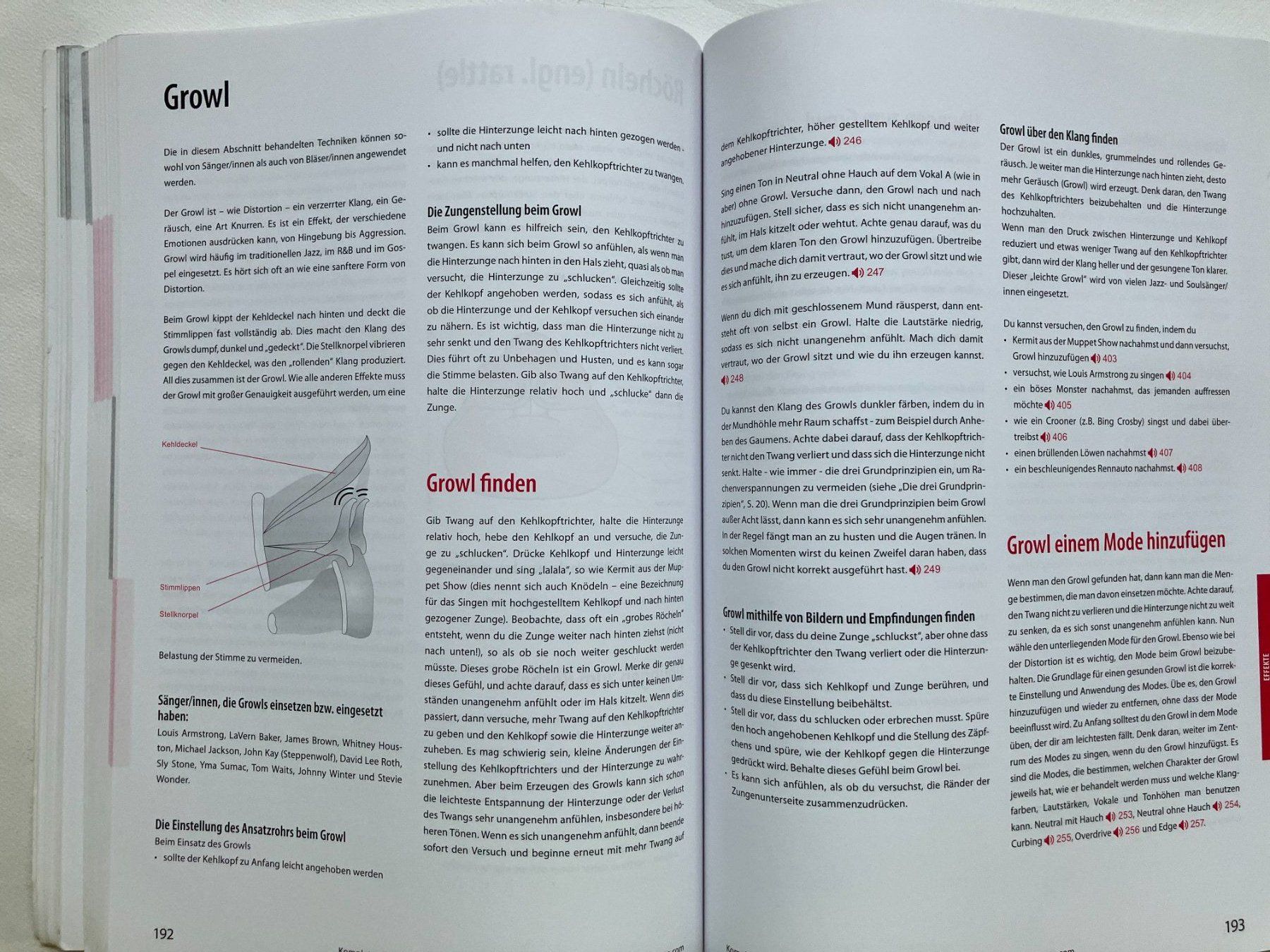 Libri: Vocal Schule Komplette Gesang Technik Catherine Sadolin – Usato da Aarau venduto da rol_mz8k 4
