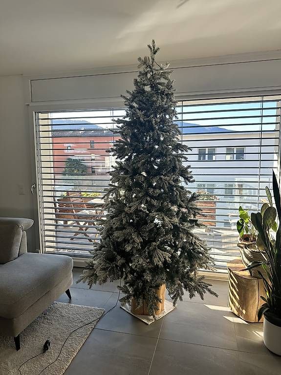 Tutte le decorazioni: Albero di Natale 210 cm – Usato da Caslano venduto da mar_vj2l