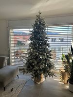 Albero di Natale 210 cm