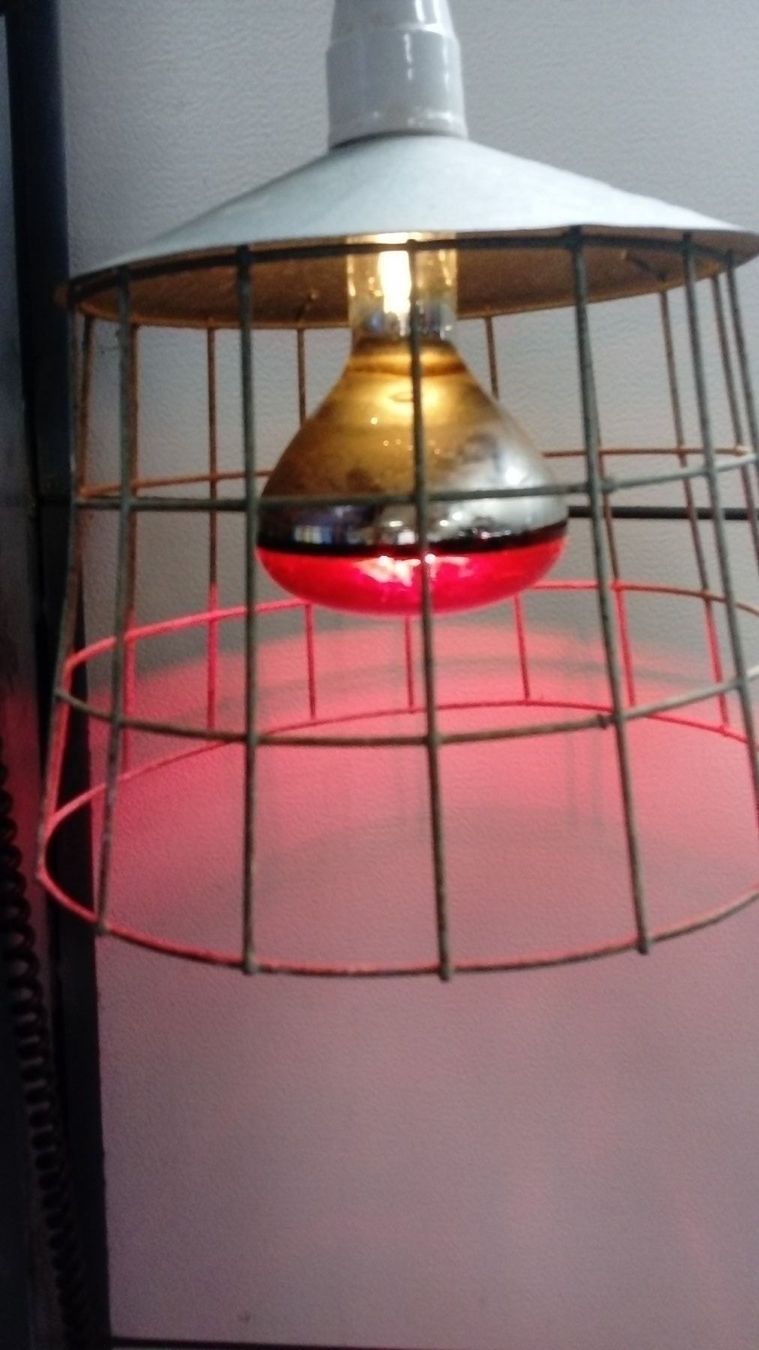 Lampade: Wärmelampe – Usato da Grüningen venduto da SaSiSo 1