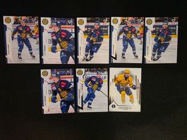 HCD HC Davos Saison 2024/25 - 8 Karten