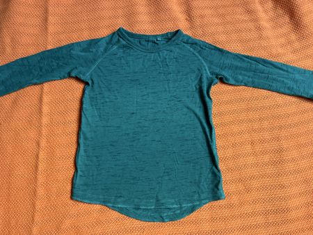 Langarmshirt Gr. 104/60 (3-4 Jahre) von Next