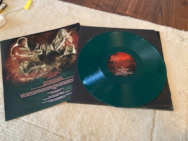 Dischi in vinile: NYKTOPHOBIA- What Lasts Forever – Usato da Wagenhausen venduto da Novafreund283 3
