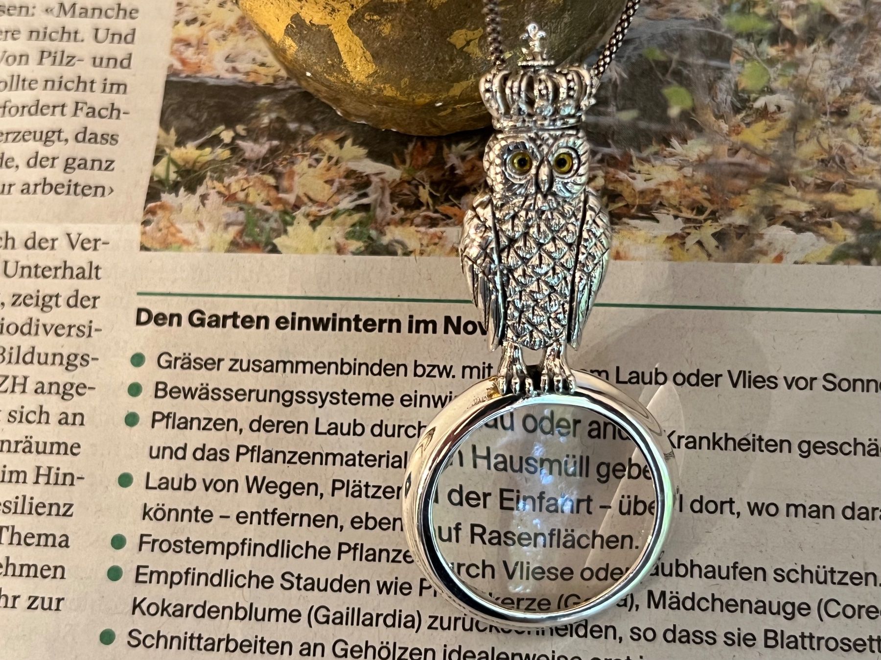 Ciondoli: Anhänger Lupe Eule Uhu mit Krone Sterling Silver 925 – Nuovo (secondo la descrizione) da Bern venduto da Jiffy