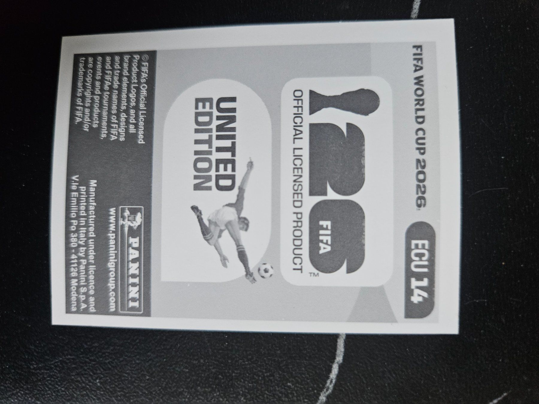 Panini Carte collezionabili: ECU 14 – Usato da Würenlingen venduto da Dinli 1