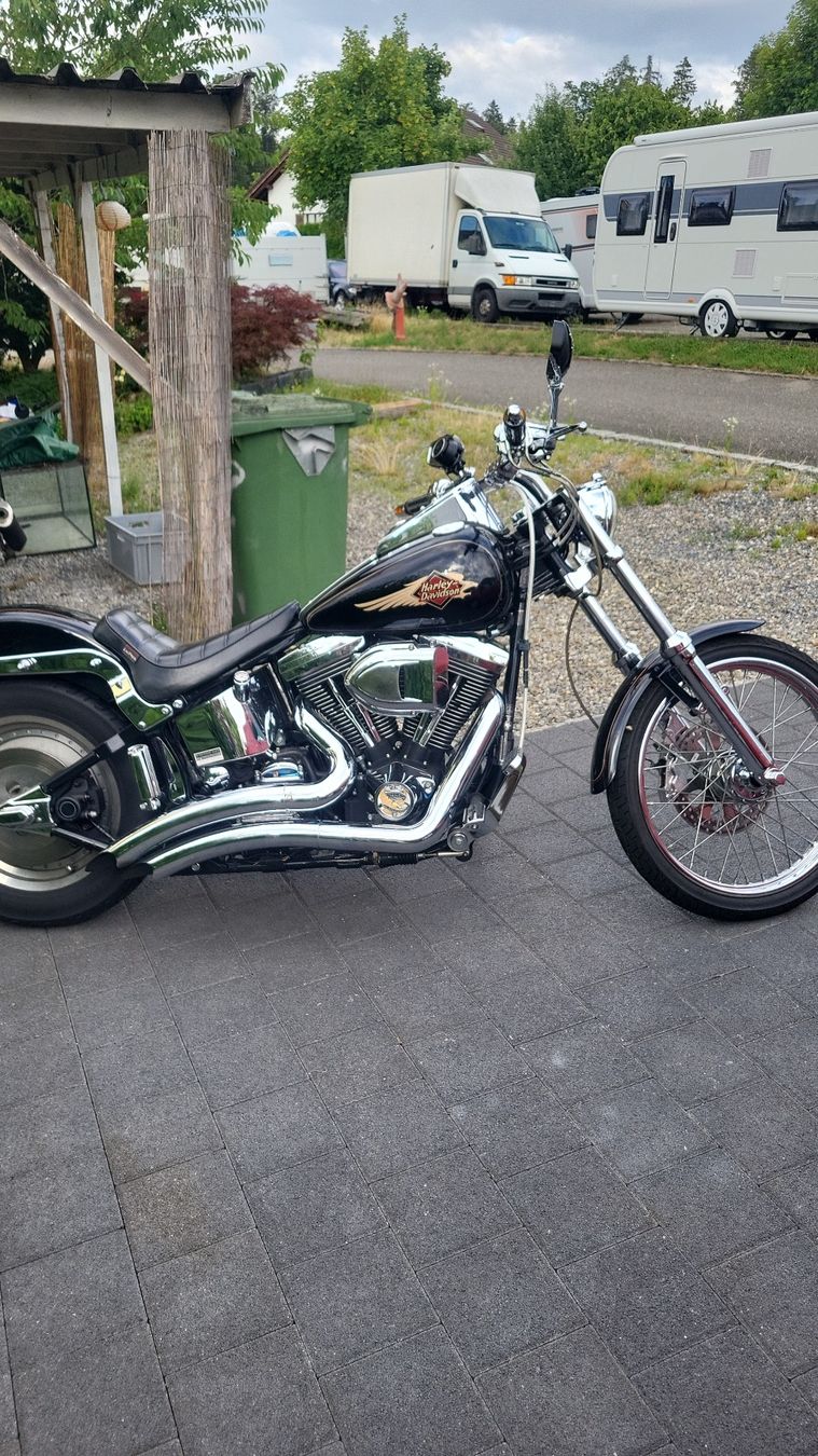 Harley-Davidson Chopper: Harley Davidson softail Fxstc – Usato da Adliswil venduto da Robiiiin 1