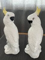 Kakadu Pärchen Knochenporzellan