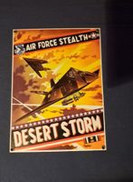 plaque Air Force Stealth Desert Storm de Ande Rooney 1997