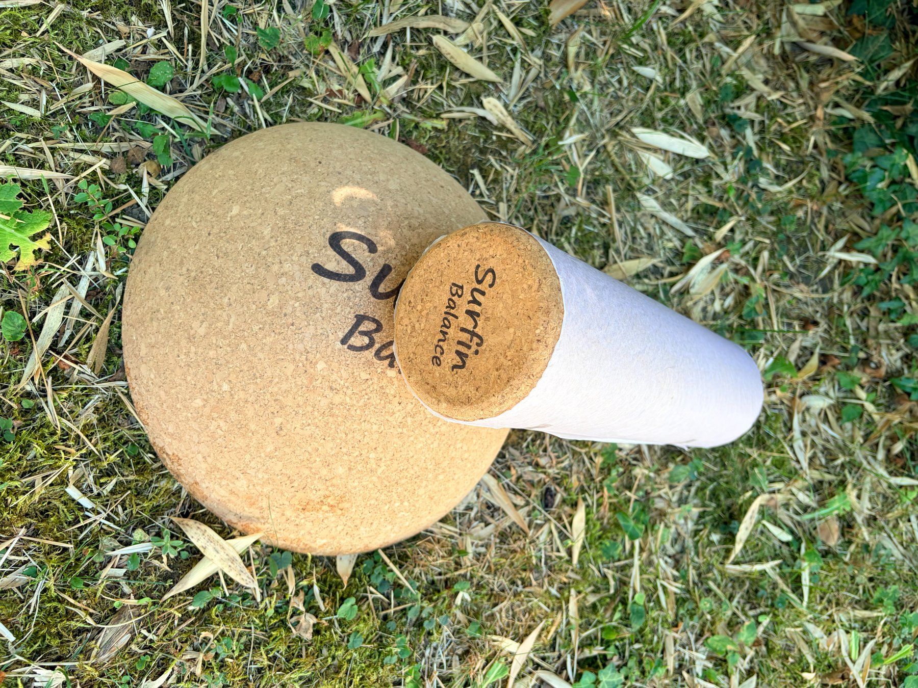 Hometrainer: Surfin Balance Board das Original – Usato da Männedorf venduto da andreamaria01 5