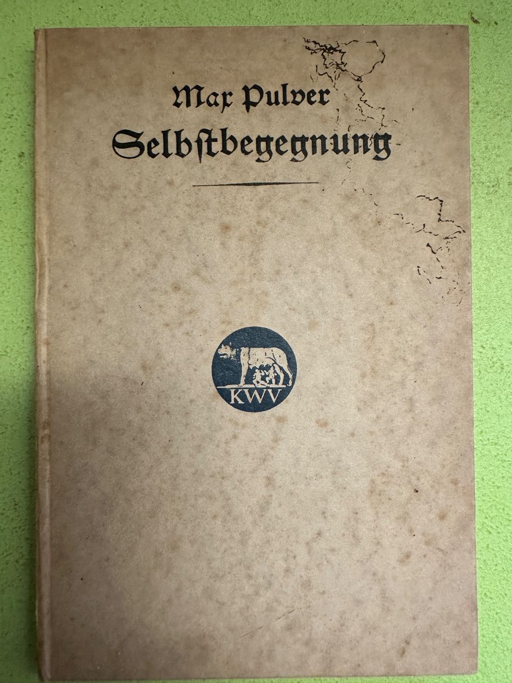 Bücher: Max Pulver: Selbstbegegnung. EA 1916 – Gebraucht aus Zürich von allp