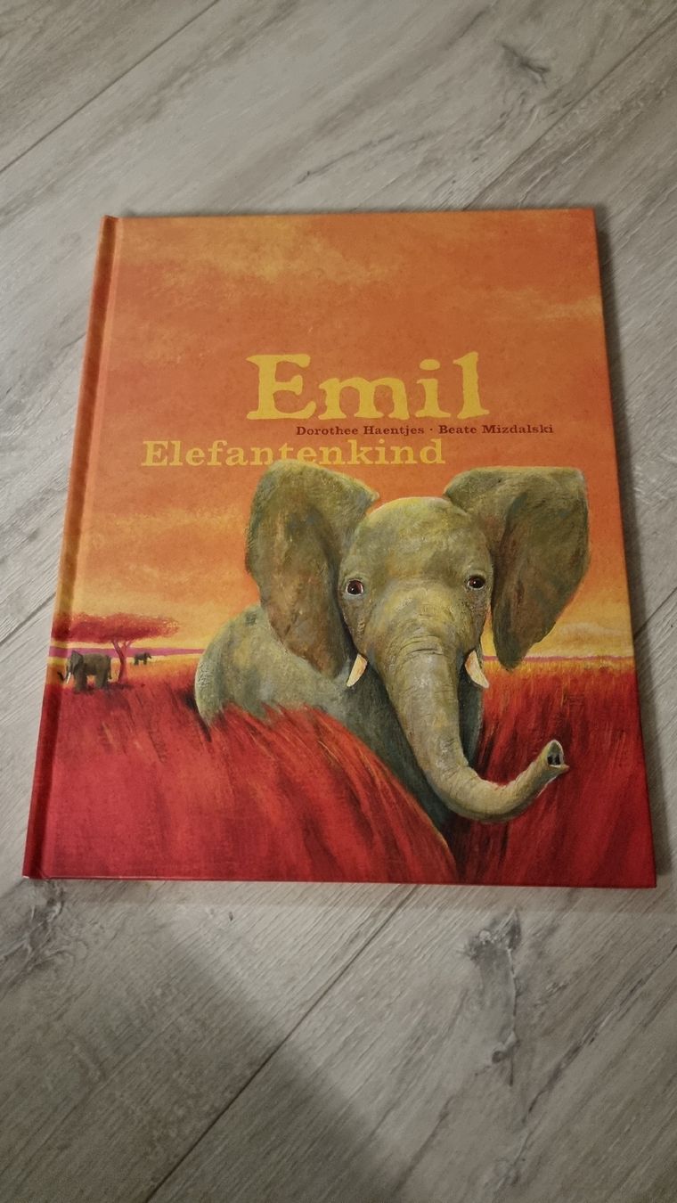 Libri: Emil Elefantenkind  schöner Zustand  – Usato da Wigoltingen venduto da Zuckerfee84