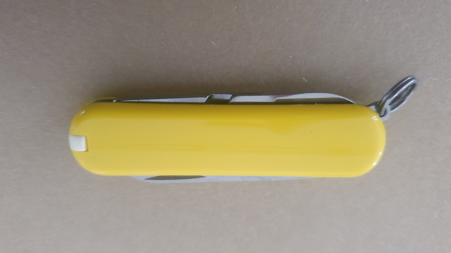 Victorinox Taschenmesser: 3 Victorinox Sackmesser mit Logo – Neu (gemäss Beschreibung) aus Härkingen von MarianneSi 1