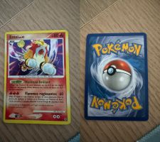 Entei 4/132 holo