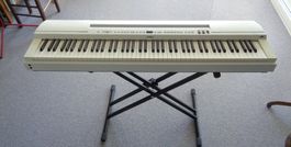 Yamaha P 255