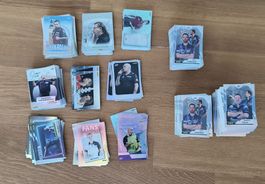 Darts PDC Panini WM 2026 Konvolut Base + Inserts