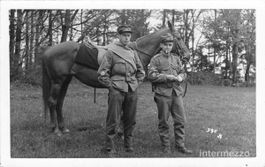 Militär // 1929 Fouriere Train Pferde // CH Armee