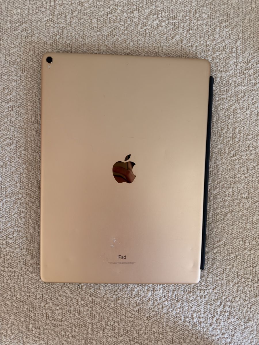 Apple Tablet PC: iPad Pro (12.9-inch) (2nd Generation)  – Usato da Uitikon Waldegg venduto da sdman 4