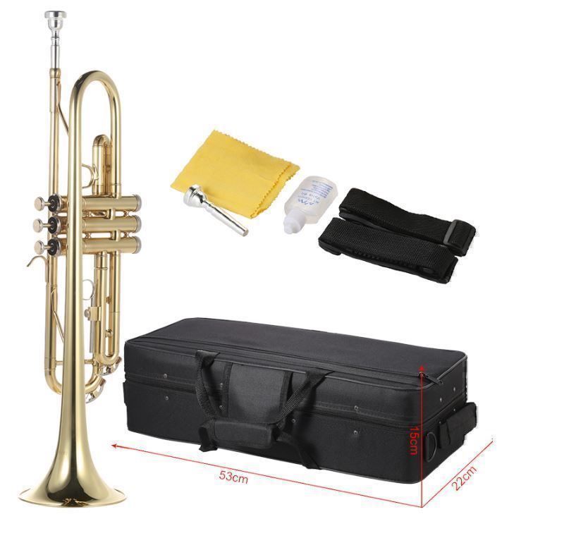 Strumenti musicali: Trompete Bb Flach Messing Gold-gemalt – Nuovo (secondo la descrizione) da Chur venduto da elektronikmarkt 4