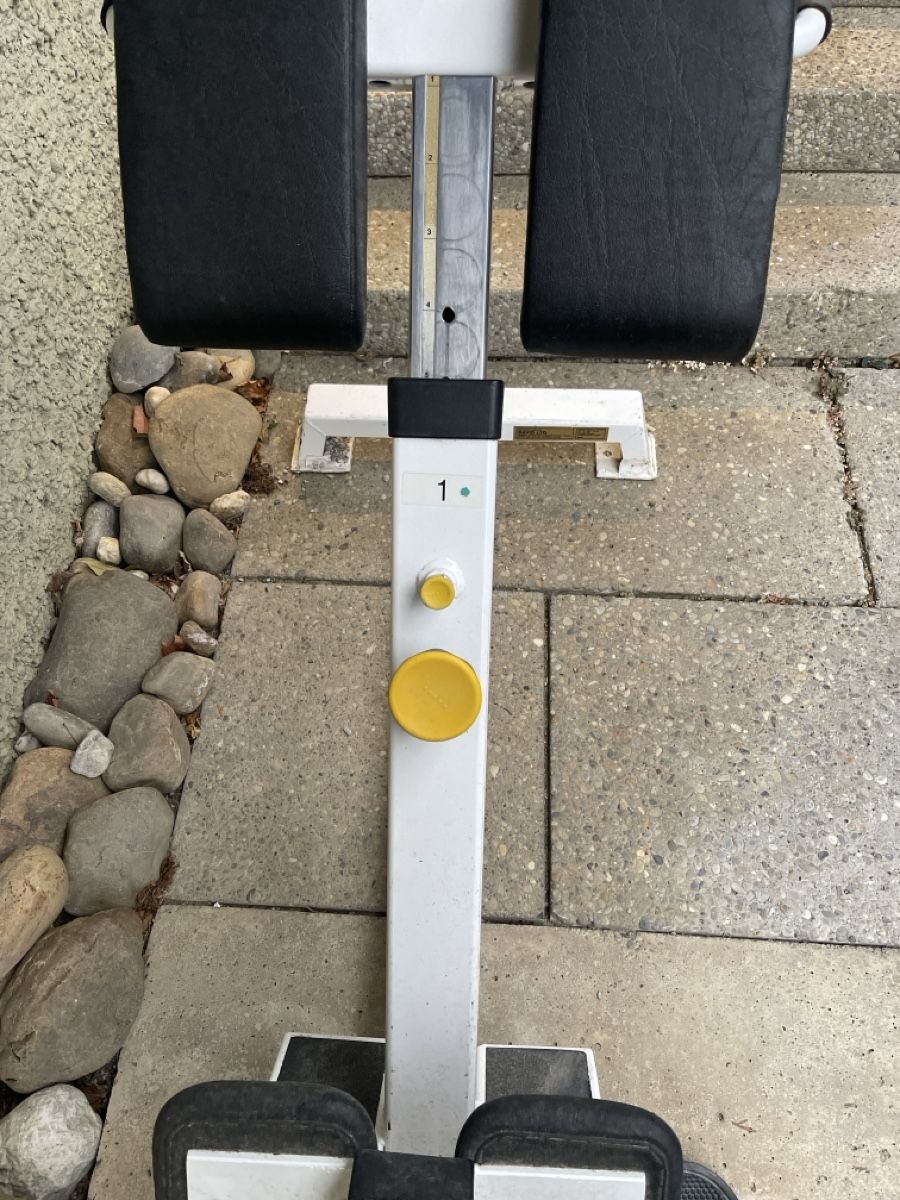 Hometrainer: Rückenstrecker DAVID 20 gebraucht – Gebraucht aus Ehrendingen von Arka3 1