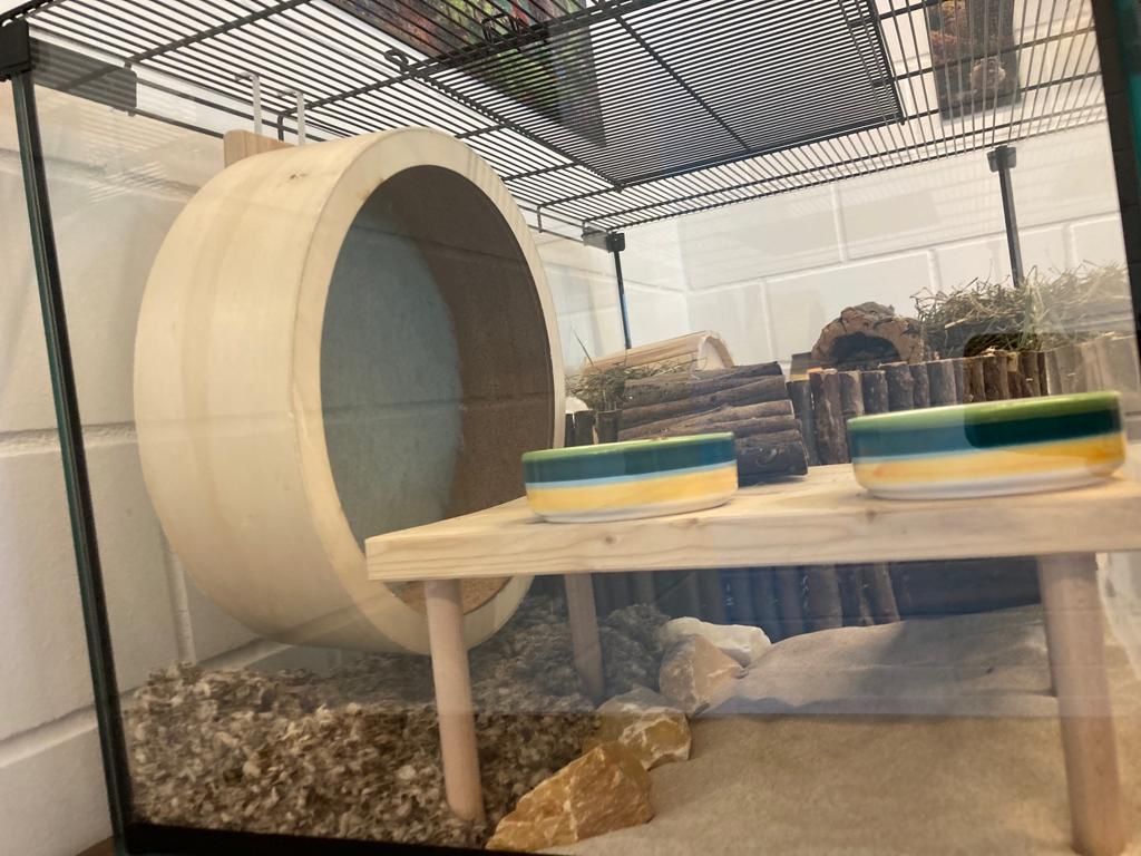 Terrario: Zwerghamster-Terrarium – Usato da Pfäffikon SZ venduto da Borsalino1920 3