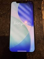 iPhone 12 Pro mit Riss auf der Rückseite