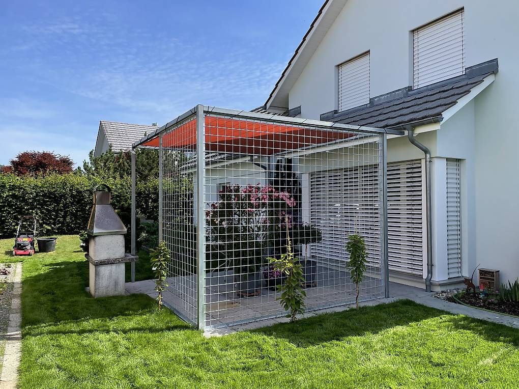 Rifugi: 5x5m Pergola Pavillon Unterstand – Nuovo e nell'imballaggio originale da Bichelsee venduto da 123Tremp321 2