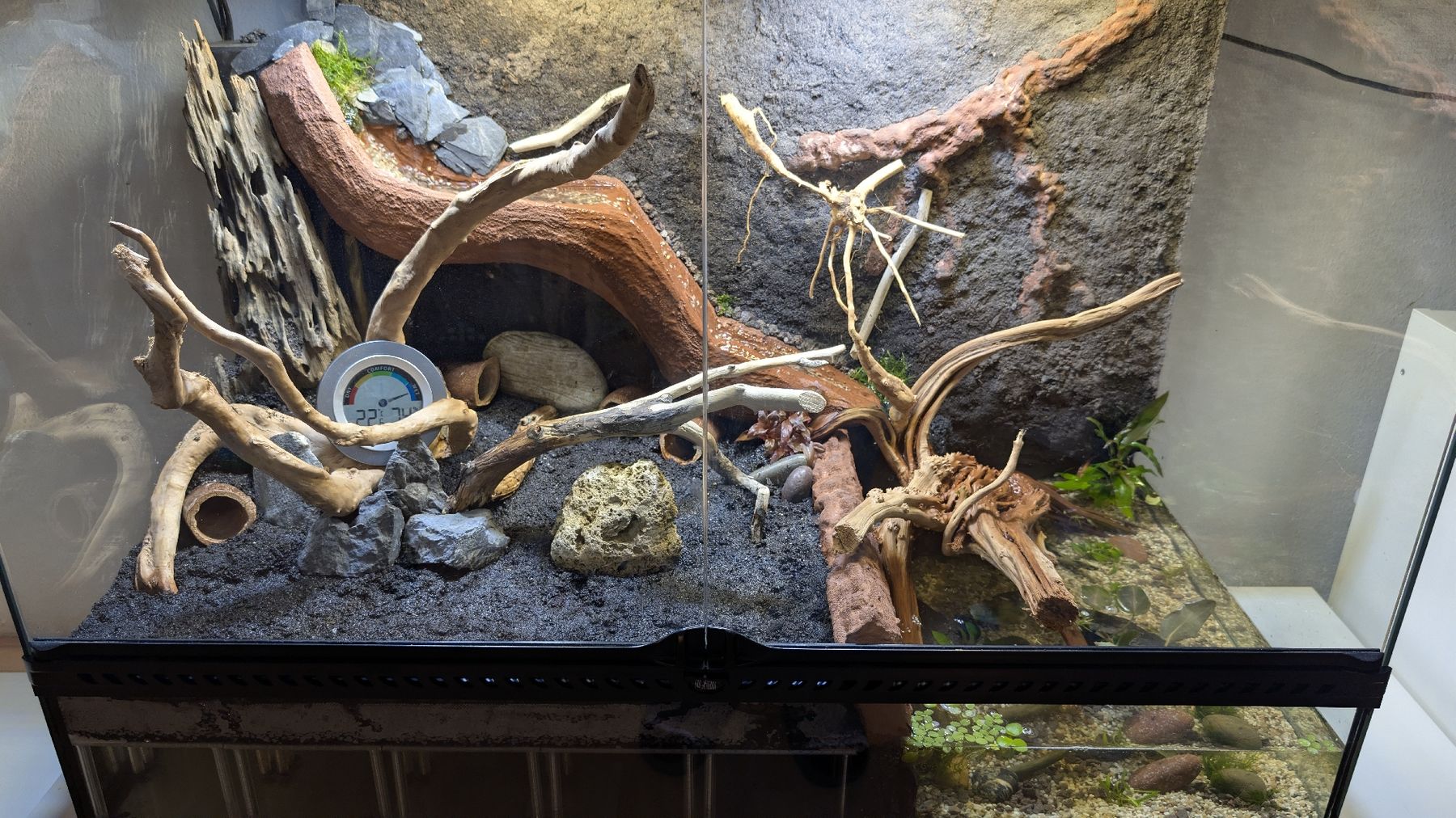 Exo terra Terrario: eingerichtetes EXO Terra, 90x45x60 – Usato da Thun venduto da L-uther 6