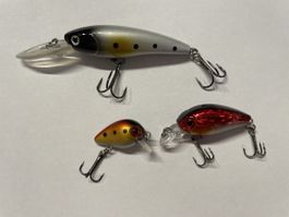 Barschköder 3 Wobbler lot rot, gold, weiss fischen angeln