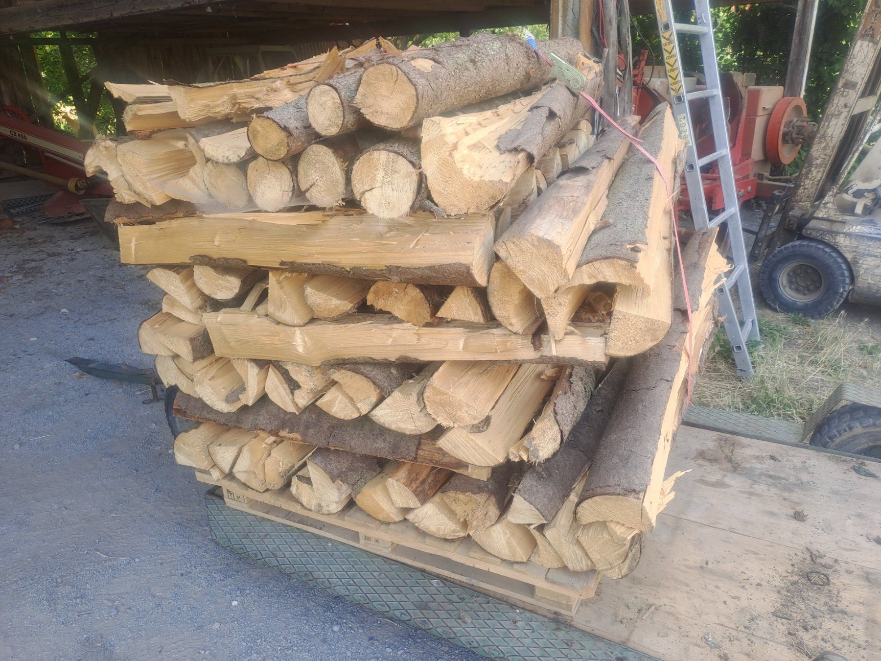 Articoli in legno: Brennholz Tanne trocken – Usato da Roggwil TG venduto da kellerthomaserbel 1