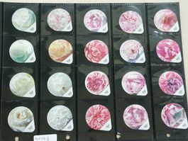 Serie    4150  A + B      Rosen           Gastro