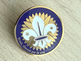 Pin Scout  Giovani per la vita