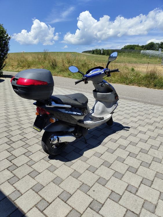 Pgo Scooters: PGO T-REX 125 – Gebraucht aus Lyss von ben_lgb6 1