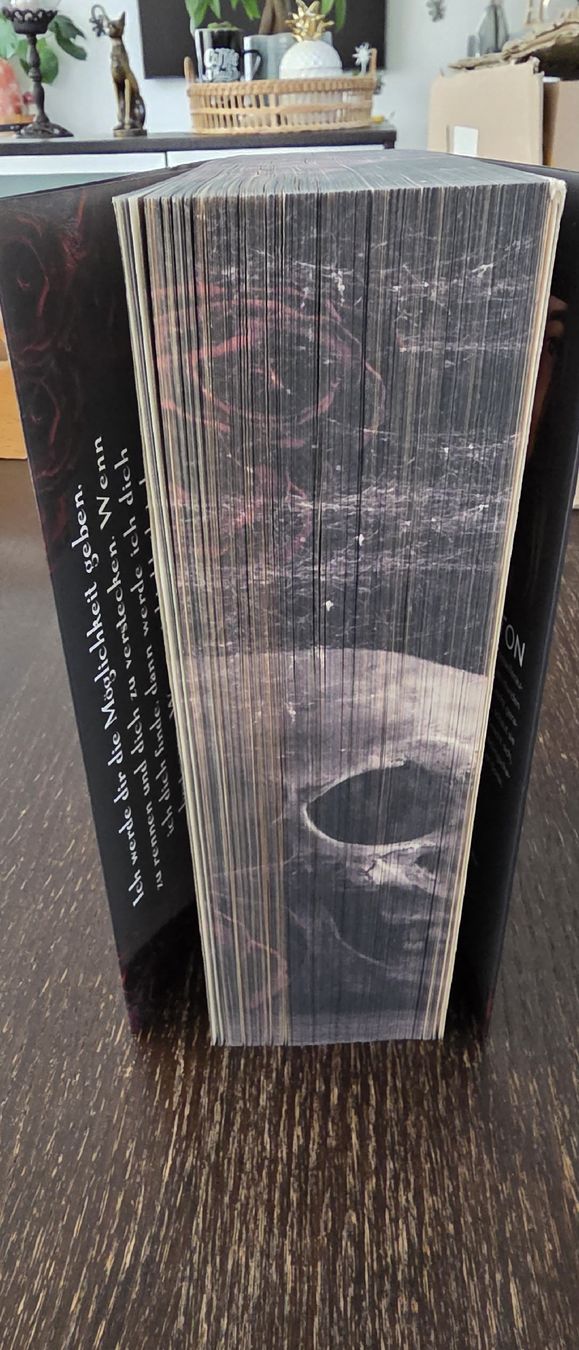 Libri: Haunting Adeline Band 1 DE Dark Romance – Nuovo (secondo la descrizione) da Ellikon an der Thur venduto da Ribbeli 2