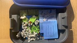 Box of magnet play sets (MagneXt)