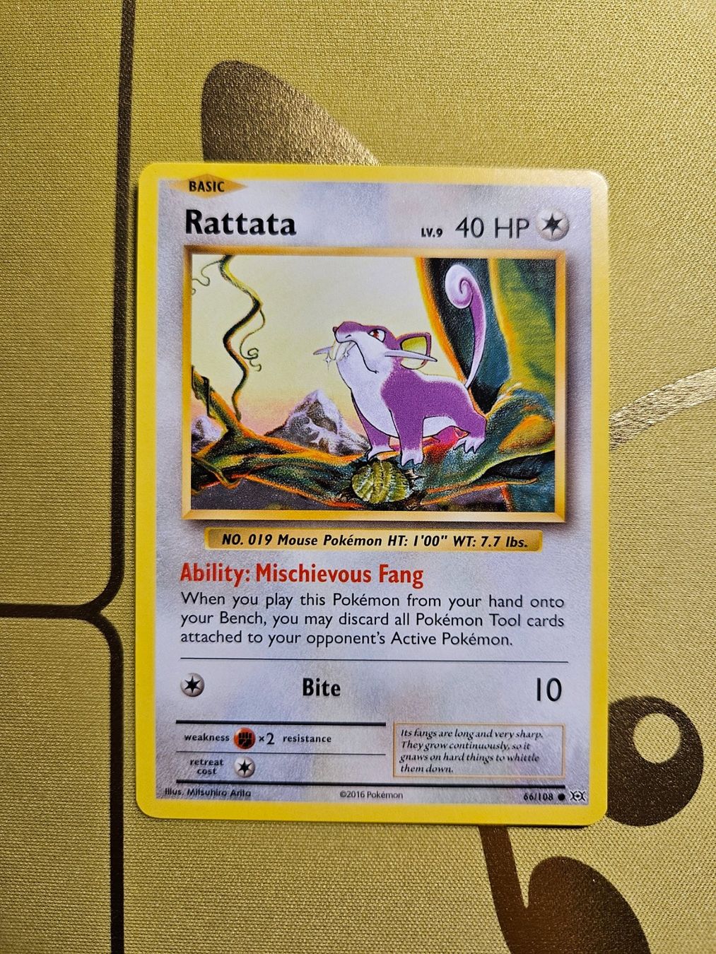 Pokémon Carte collezionabili: Evolutions - Rattata 66/108 – Usato da Bellinzona venduto da Pokemarco