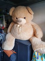 Orsacchiotto gigante XXL - peluche coccoloso! 49