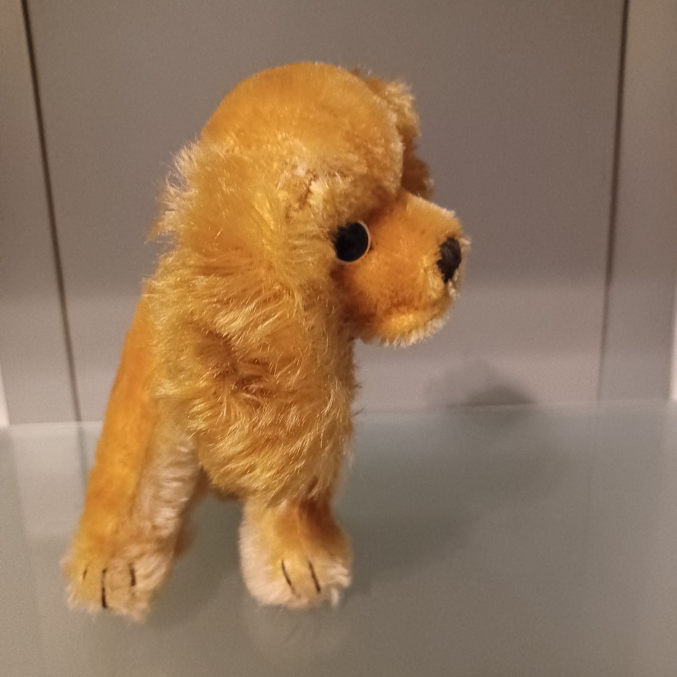 Steiff Giocattoli: Steiff Hund Revue Susi17 cm gross – Usato da Abtwil SG venduto da luupsy 1