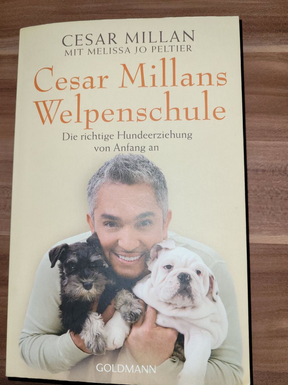 Libri: Cesar Millans Welpenschule – Usato da Beinwil (Freiamt) venduto da Tourigny