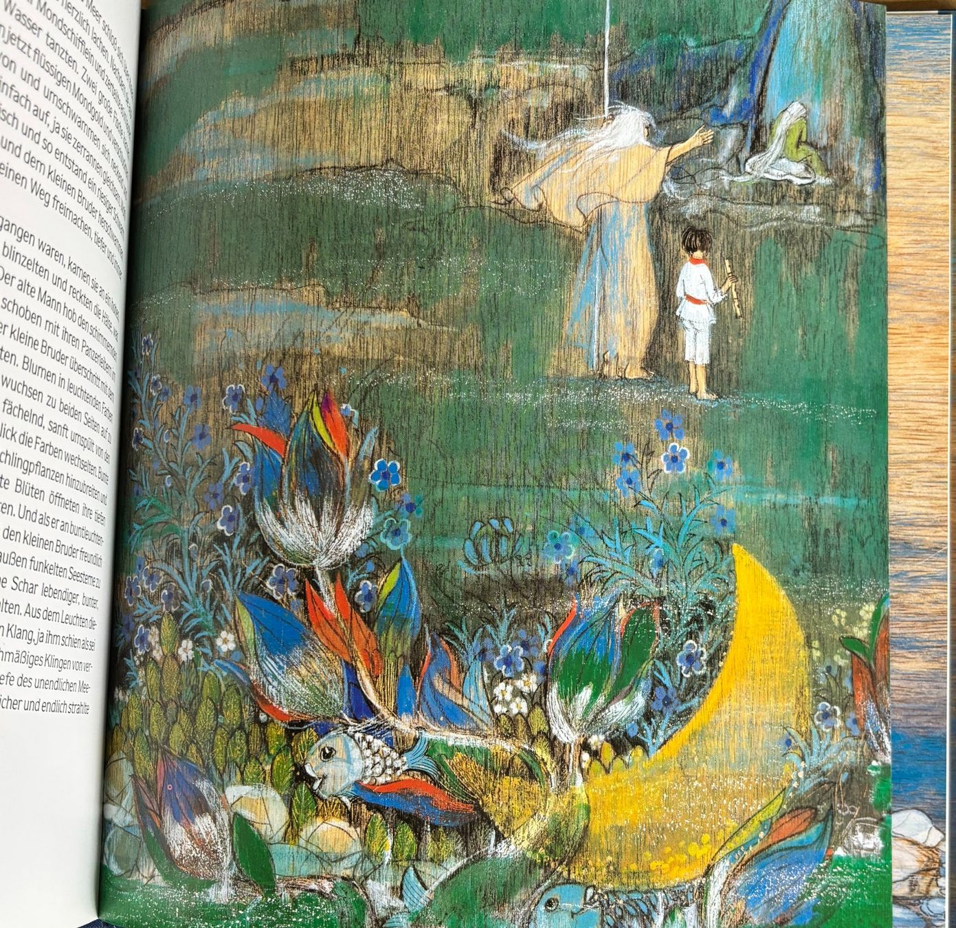 Libri: Die Flöte des kleinen Bruders - ein chinesisches Märchen – Usato da Sarnen venduto da Livres 5