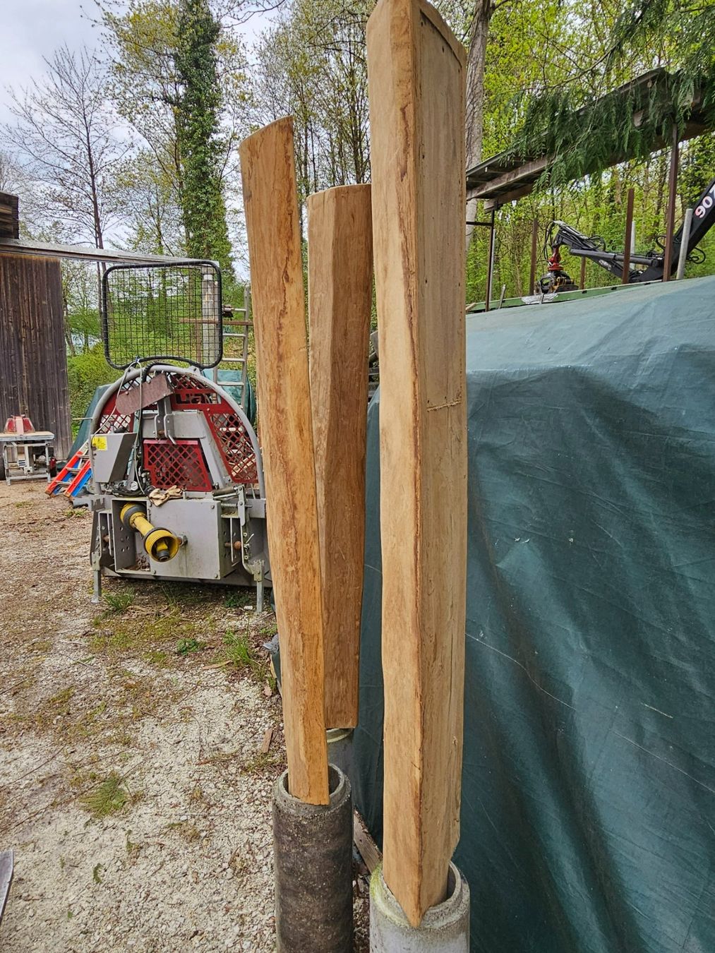 Articoli in legno: Infopfosten – Nuovo (secondo la descrizione) da Aarburg venduto da Joerg.Andre 2